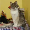Отзыв от Нелли Мещерякова